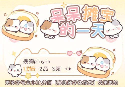 呆呆摊宝的一天