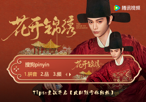 花开锦绣·赵凌
