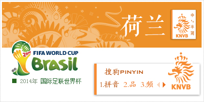 FIFA-荷兰队