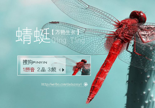 【达达】万物生长·蜻蜓