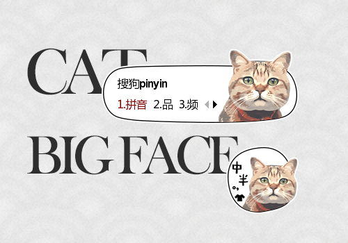 大脸萌猫