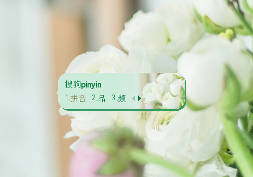 白玫瑰