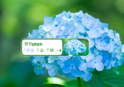 为你绽放美【陌离】