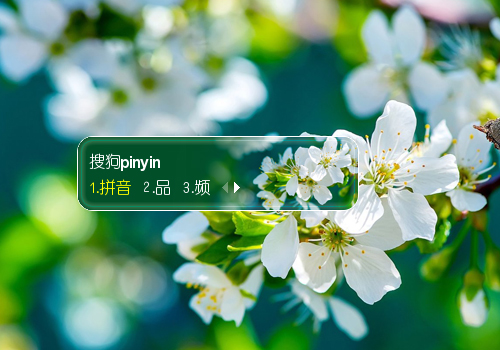 花满天【陌离】