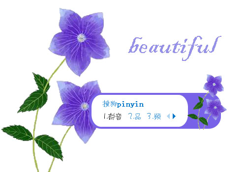 【阿越吖】花朵