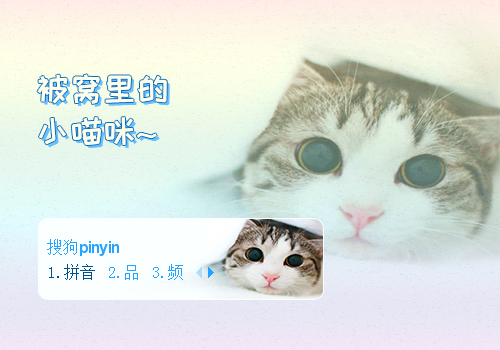 被窝里的小喵咪