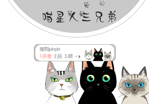 喵星人三兄弟