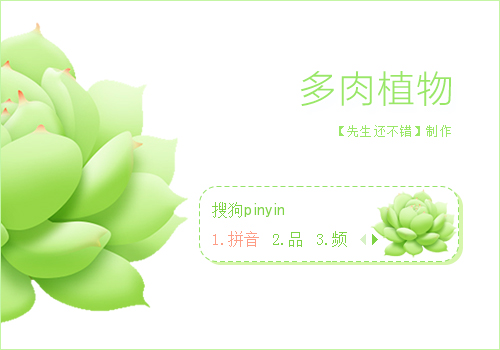 多肉植物