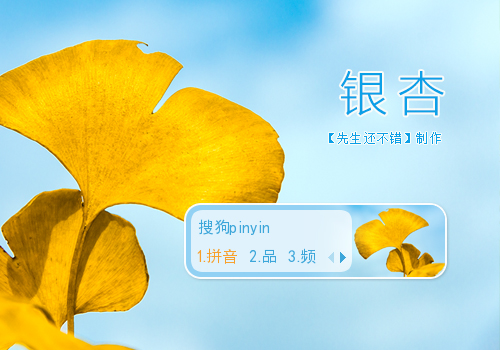 【先生】银杏