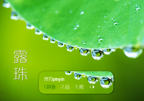 露珠