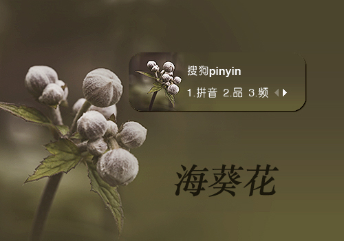 【笙葙】海葵花