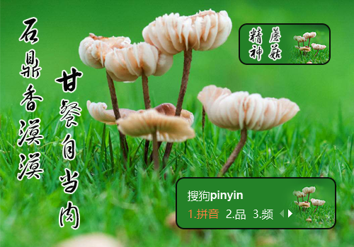 蘑菇精神