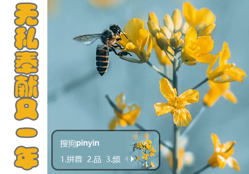 油菜花与小蜜蜂