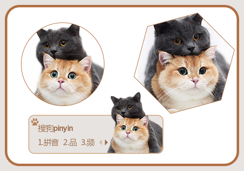 叠猫猫