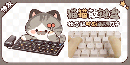猫猫敲键盘