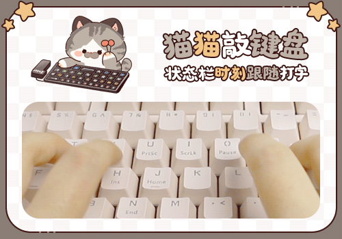 猫猫敲键盘