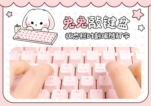 【打字跟随】兔兔敲键盘
