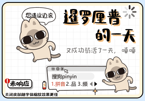 暹罗厘普的一天