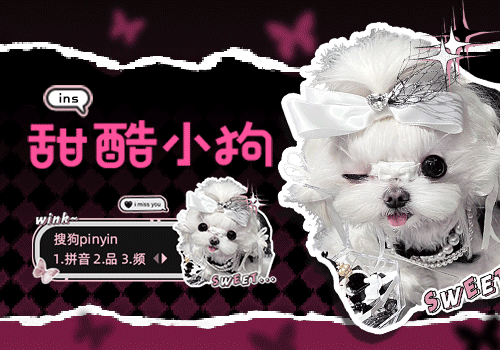 INS甜酷小狗